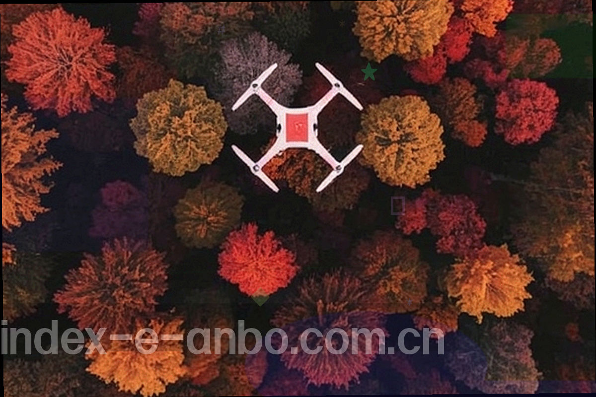 深色看板上左右并排的两组等宽数字列表特写，无文字标签与人物
